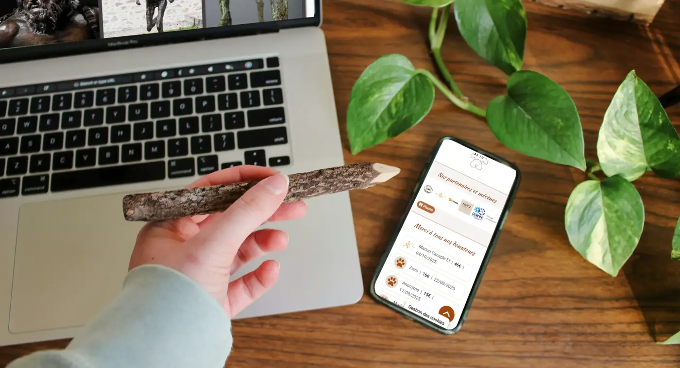 conception de sites web sur mesure